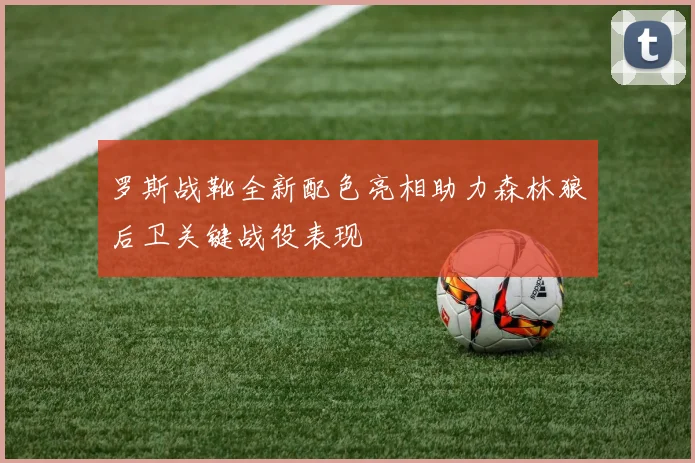 罗斯战靴全新配色亮相助力森林狼后卫关键战役表现