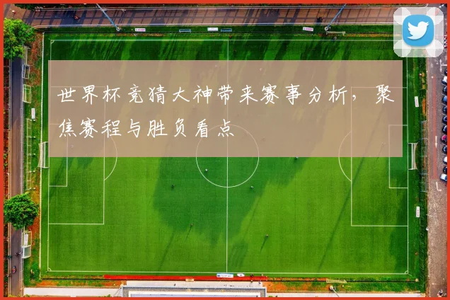 世界杯竞猜大神带来赛事分析，聚焦赛程与胜负看点